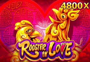 3BET Rooster In Love
